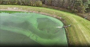 Early warning for algal blooms